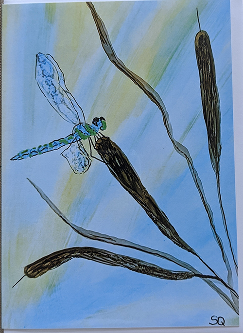 Dragonflies & Cattails 1