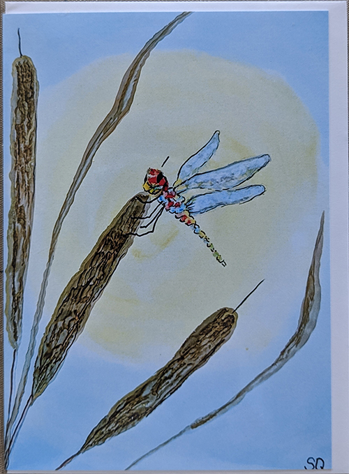 Dragonflies & Cattails 2